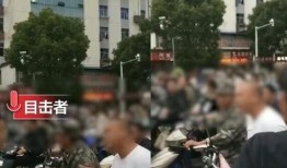 赞皇一中爆料事件视频最新,真相揭开，校园风波再起