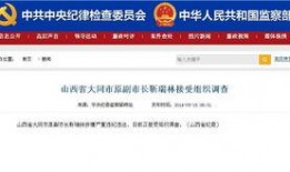 陆河新闻爆料最新情况查询,事件进展及影响全解析