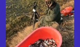 黑哥爆料最新动态视频,揭秘视频背后的惊人真相！