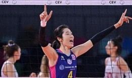 谁爆料的朱婷视频播放软件,独家揭秘播放软件背后的故事