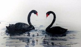 大鹅鹅网红黑历史西雅图吃瓜,揭秘网红黑历史背后的真相